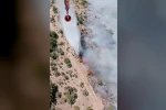 Kiraz’daki orman yangına havadan ve karadan müdahale