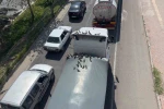 Kırmızı ışıkla birlikte kumruların ziyafeti başlıyor 