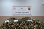 Konya’da jandarmadan uyuşturucu operasyonları: 5 tutuklama
