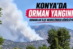 Konya’da orman yangını! Dumanlar ilçe merkezinden görülüyor