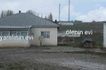 Köpek dehşetinin görüntüleri ortaya çıktı 