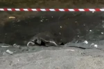 Koruma alanı dışına yuva yapan caretta caretta için şeritli tedbir