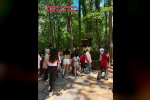 Koruma altındaki çocuklara doğa ve eğlence dolu gün 