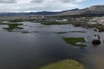 Kura Nehri taştı, tarım arazileri sular altında kaldı 