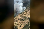 Kuyucak’ta orman yangını: 5 dekar kestanelik yandı