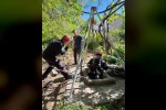 Kuyuya düşen yavru kedi itfaiye ekiplerince kurtarıldı 