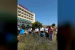 Lavanta kokulu okulda hasat heyecanı yaşandı 