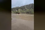 Mahsur kalan çobanın imdadına AFAD ekipleri yetişti 