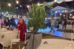 Malatya’da düğün salonunda kavga: 4 yaralı