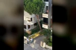 Maltepe’de vatandaşlar kadına şiddete kayıtsız kalmadı: Balkondaki adama taş yağdırdı 