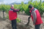 Manisa’da tarım denetimleri hız kesmiyor 