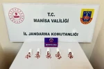 Manisa’da uyuşturucu operasyonu: 290 adet hap ele geçirildi