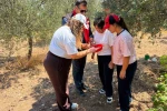 Manisa’da zeytin ve meyve bahçeleri zararlılara karşı takipte