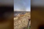 Mardin’de çıkan anız yangınına müdahale ediliyor 