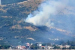 Marmara Adası’nda orman yangını başladı