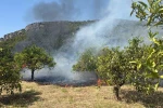 Marmaris’te otluk alan yangını 