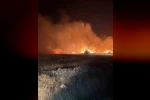 Mazıdağı’nda dün gece çıkan yangında ekili araziler zarar gördü 