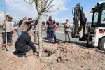 Melikgazi, ağaçlandırma çalışmaları ile geleceğe daha yeşil bir miras bırakıyor 