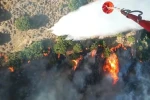 Menemen’deki yangına havadan 6 uçakla müdahale 