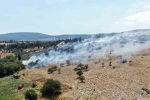 Menteşe’deki makilik yangını kontrol altına alındı 