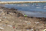 Mersin sahillerindeki kirlilik turizmi tehdit ediyor
