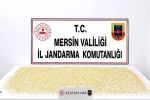 Mersin’de 3 bin 760 uyuşturucu hap ele geçirildi