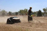Mezarlık bakımında ot biçme robotları kullanılmaya başlandı