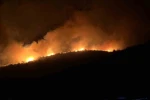 Milas’ta alevler geceyi aydınlattı 