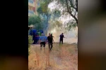 Milas’ta zeytinlik alan yangını büyümeden söndürüldü