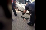 Minibüsün motoruna giren yılan itfaiye ekiplerini harekete geçirdi 