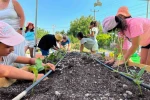 Minik çiftçiler akademiyi tamamladı