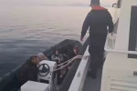 Mobil radar tespit etti, yakalandılar 