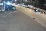 Motosikletle büyükbaş hayvana çarptı