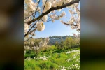 Mudanya Üniversitesi’ne 6 yeni bölüm daha 