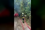 Muğla’da korkutan ot yangını: 30 metrekare alan zarar gördü 