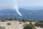 Muğla’da orman yangını