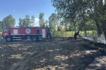 Muratlı’da buğday tarlasında yangın 