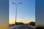 Muratlı’da leylekler direkleri mesken tuttu