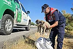 Muş’ta jandarma ekipleri çuval içerisinde yavru köpekler bulundu 