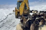 Muş’ta yoğun kar yağışı
