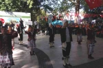 Mut Zeytin ve Zeytinyağı Festivali başladı 