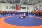 Olimpiyat şampiyonları anısına güreş turnuvası düzenlendi 