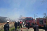 Ordu’da 3 katlı binada yangın 