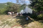 Ordu’da samanlık yangını 