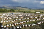 Ordulu arıcılardan ülke ekonomisine 7 milyar TL’lik katkı