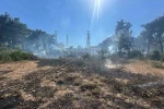 Ormanlık alanda çıkan yangın büyümeden söndürüldü 