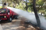 Ormanlık alanda çıkan yangını vatandaşlar söndürdü