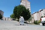 Osmangazi Belediyesi’nden haşerelere karşı etkin mücadele 