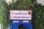 Osmaniye’de jandarma bir haftada 128 şüpheli yakaladı