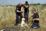Otlarken kanalizasyon çukuruna düşen oğlak, çıkardığı sesle kurtuldu